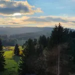 Apartmán Schwarzwaldblick Rothaus 'meise' Grafenhausen
