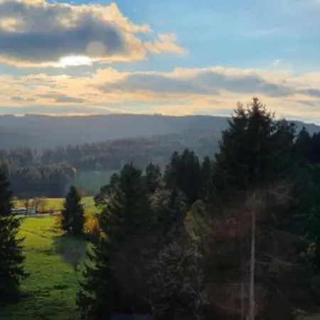 Appartement Schwarzwaldblick Rothaus 'meise' Grafenhausen